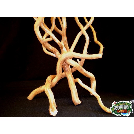 Csavart fűzfa ág vékonyabb