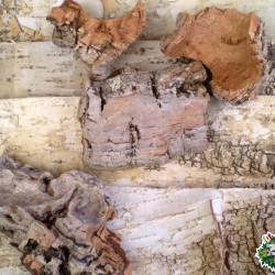 Parafakéreg darabok Parafakéreg darabok