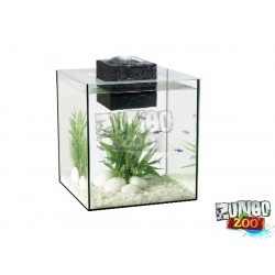 Florárium Kocka Magas Üvegből