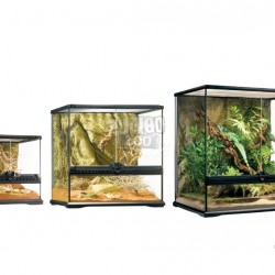 Florárium Kocka forma Üvegből